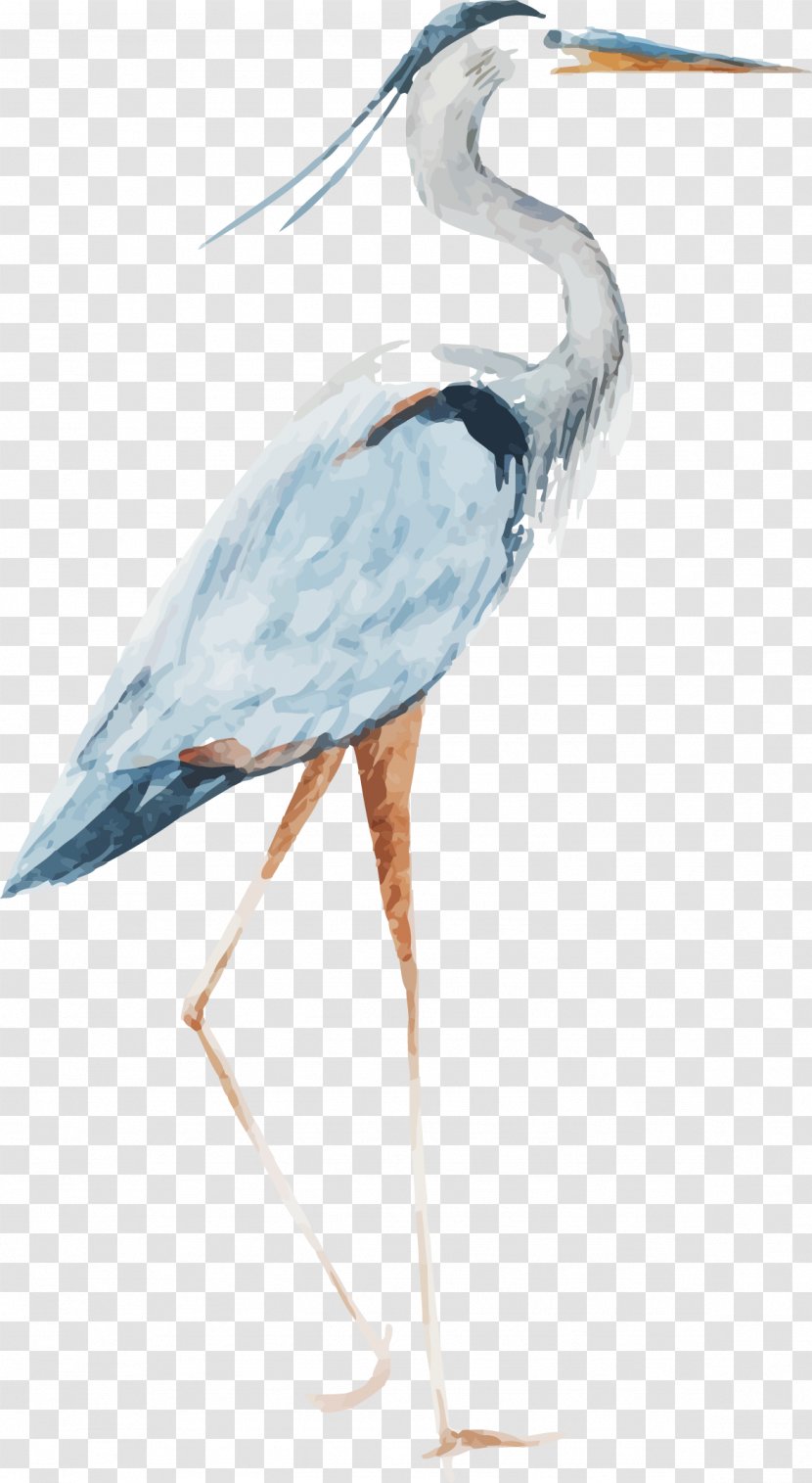 Watercolor Red - Pelecaniformes - Crowned Crane Vector Transparent PNG