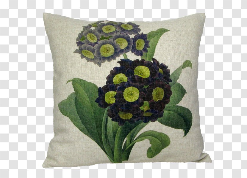 Throw Pillows Primrose Choix Des Plus Belles Fleurs Pierre-Joseph Redouté (1759-1840) - Floral Design - Botanical Wreath Transparent PNG