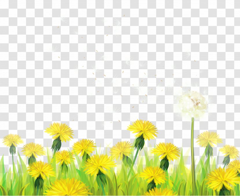 Dandelion Clip Art - Orange - Transparent Grass With Dandelions Clipart Transparent PNG