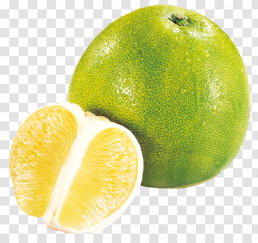 Persian Lime Pomelo Grapefruit Lemon - Bitter Orange Transparent PNG