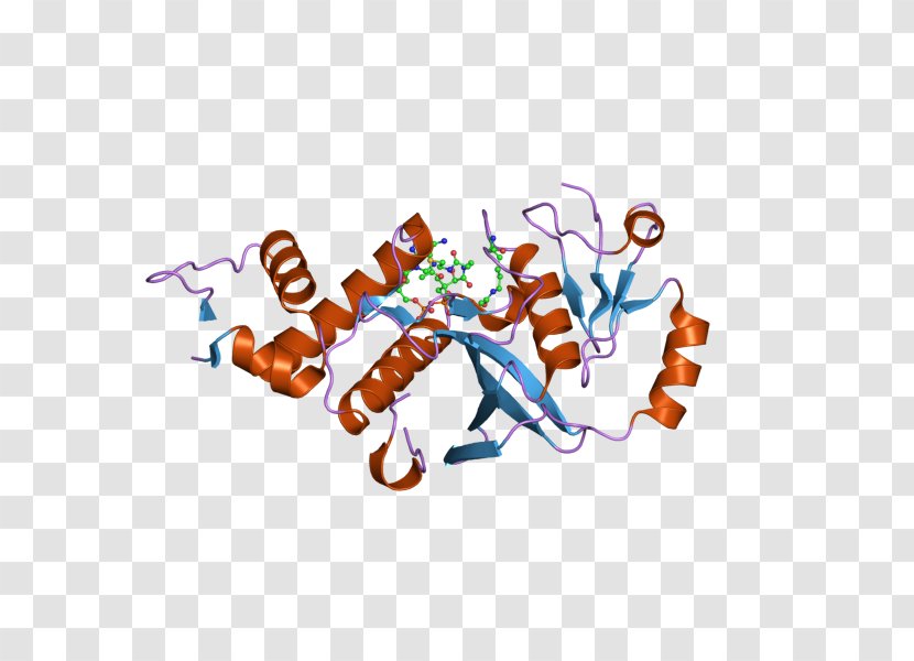 KAT5 Histone Acetyltransferase Protein - Cartoon - Watercolor Transparent PNG