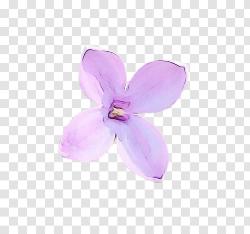 Violet Petal Purple Flower Lilac - Flowering Plant - Dendrobium Transparent PNG