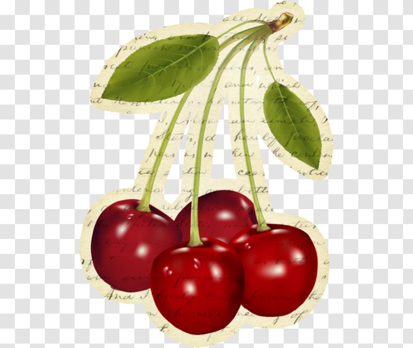 Car Air Fresheners Barbados Cherry Food Berry - Frutti Di Bosco Transparent PNG