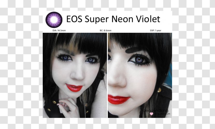 EOS.IO Decentralized Application Blockchain Eyebrow Eye Shadow - Tree - Violet Circle Transparent PNG