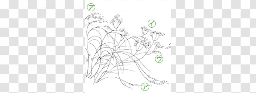 Line Art Sketch - Branch - Design Transparent PNG