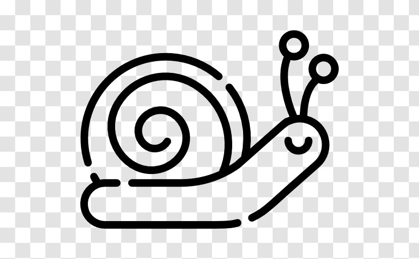 Circle Line Area Clip Art - Snail Transparent PNG