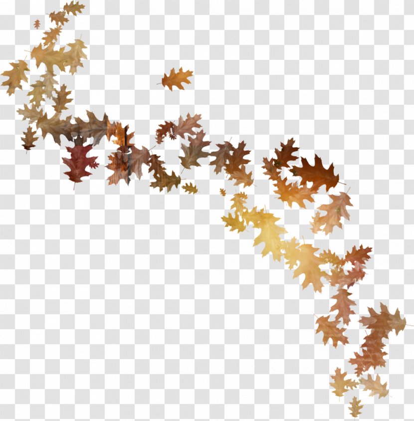 Flower Leaf Clip Art - Point - Autumn Leaves Transparent PNG