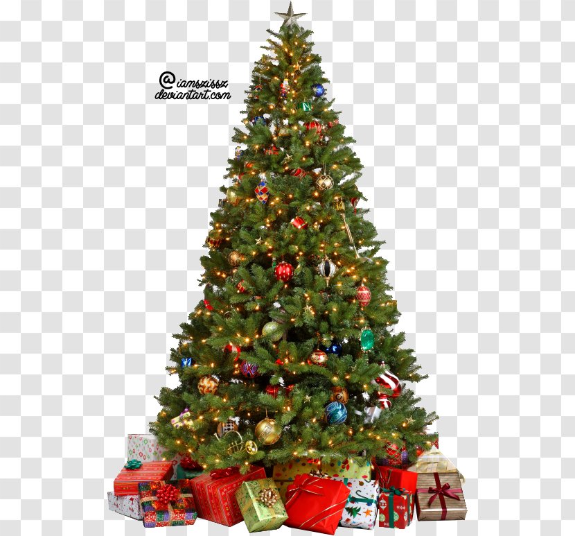 Christmas Tree Clip Art - Conifer - Photo Transparent PNG