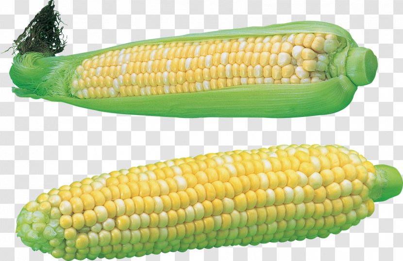 The Maize Rye Bread Cereal - Corn Kernel - Image Transparent PNG