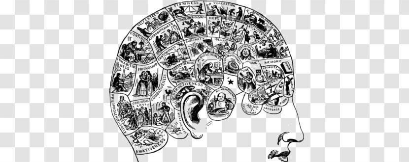 Lives Of The Mind: Use And Abuse Intelligence From Hegel To Wodehouse Brain Agy Neuroscience - Cartoon Transparent PNG