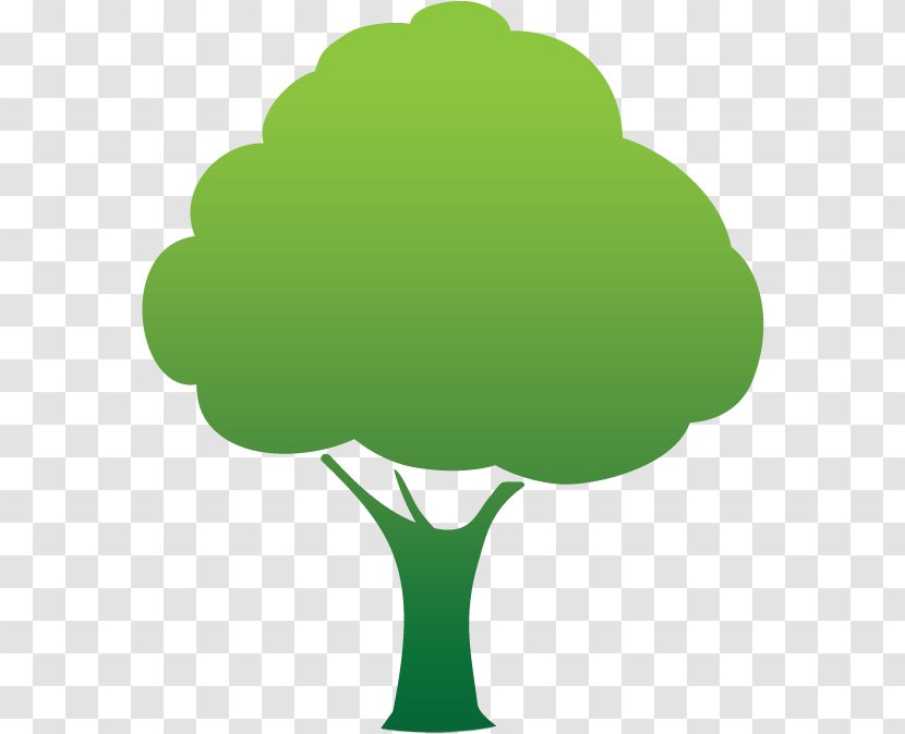 Oak Tree Leaf - Symbol - Vegetable Transparent PNG
