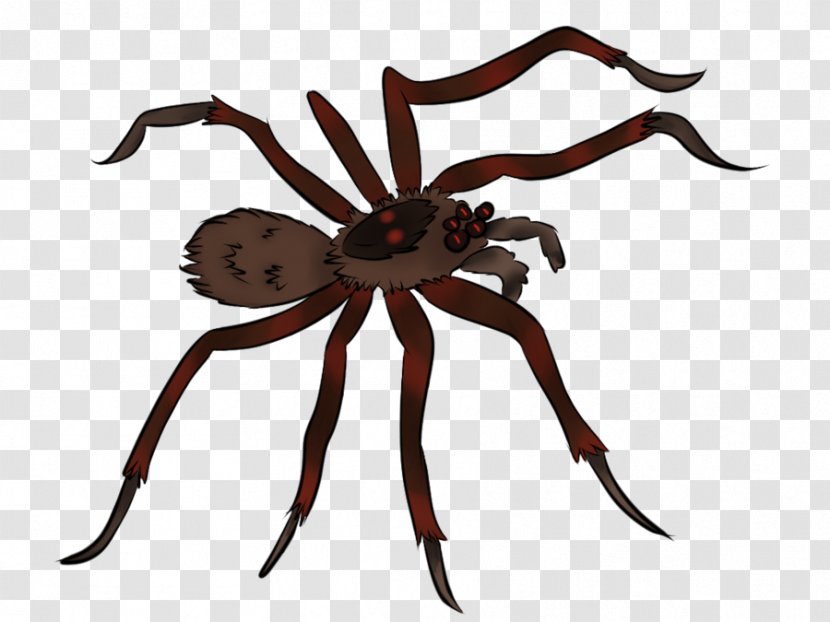 Spider Animation Clip Art - Cartoon - Animated Pictures Of Spiders Transparent PNG