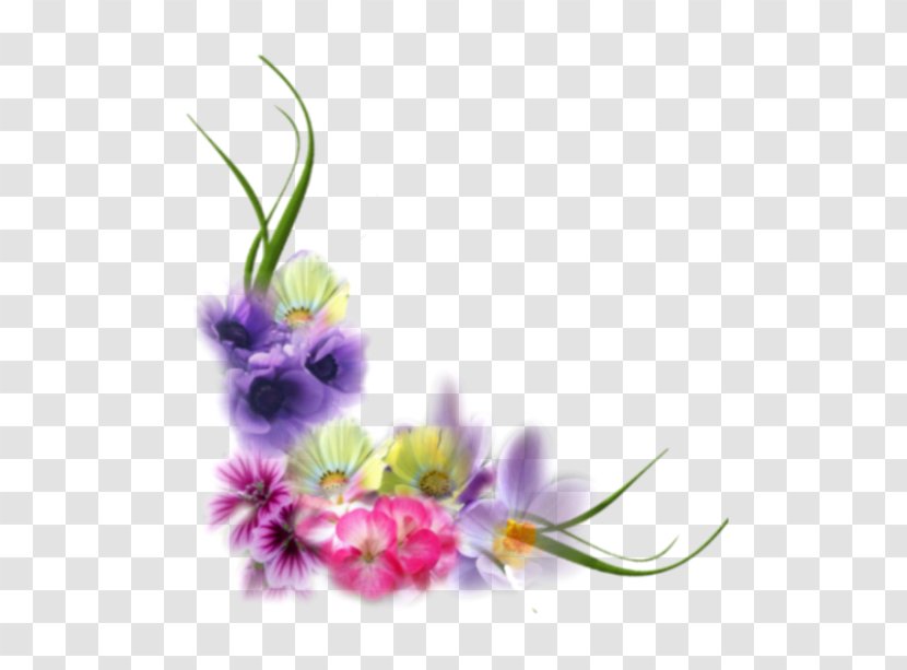 Floral Design Picture Frames Flower .net - Google Account Transparent PNG