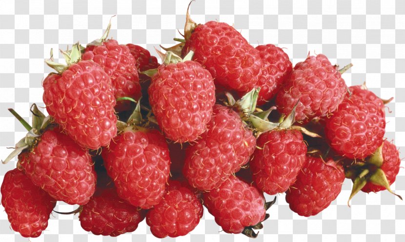 Raspberry Loganberry Berries Clip Art - Superfood Transparent PNG