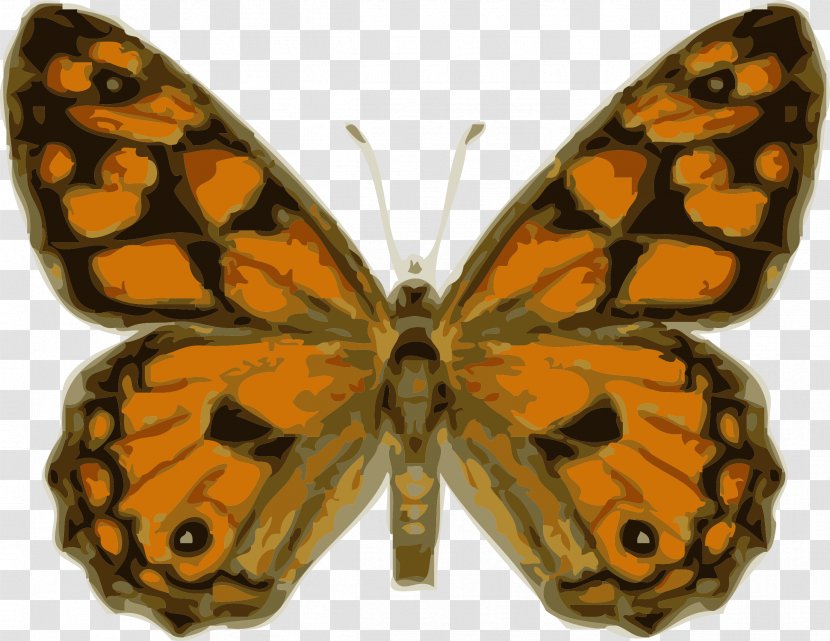 Monarch Butterfly Insect Royalty-free Clip Art - Organism - Bugs Transparent PNG