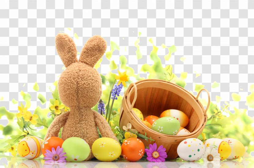 Easter Bunny Photography Egg Photographic Studio - Stock - Exquisite Ad Elements Transparent PNG