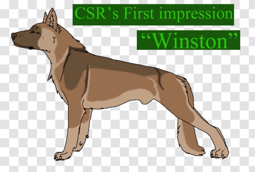 Dog Breed Snout Paw - Vertebrate - First Impression Transparent PNG