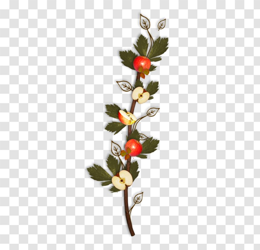 Apple Red - Twig - Branches Laden With Apples Transparent PNG