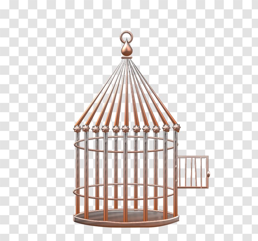 Birdcage Common Ostrich Drawing - Aile - Bird Transparent PNG