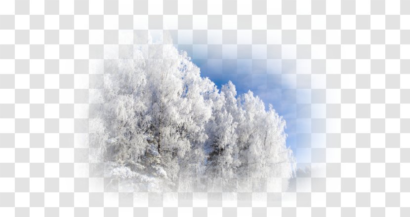Winter Snow Advertising Image Resolution - Hard Rime Transparent PNG