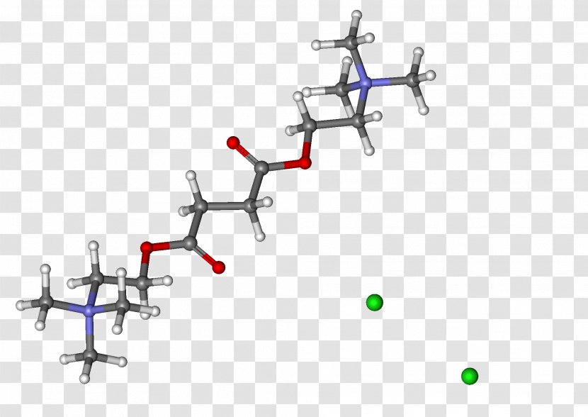 Suxamethonium Chloride Tubocurarine Alcuronium Neuromuscular-blocking Drug - Auto Part - Butyrylcholinesterase Transparent PNG