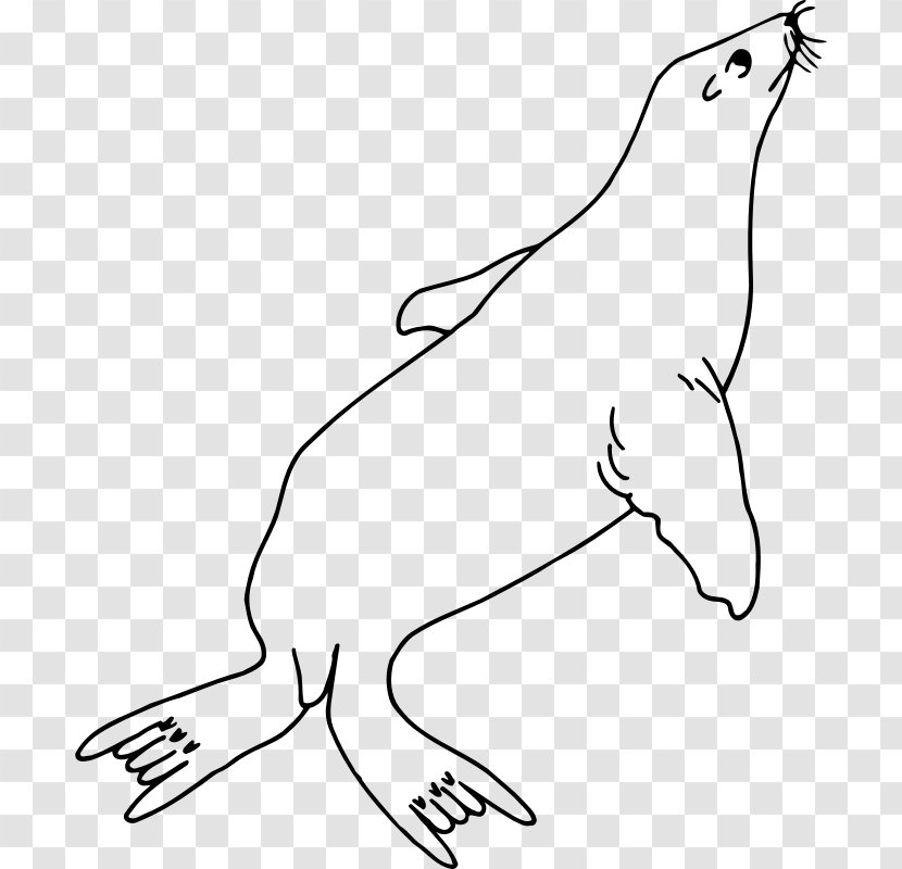 Sea Lion Coloring Book Line Art Clip - Animal Figure - Nature Animals Seal Transparent PNG