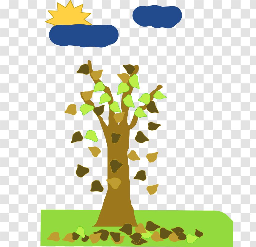 Tree Autumn Leaf Clip Art - Organism - Falling Leaves Pictures Transparent PNG