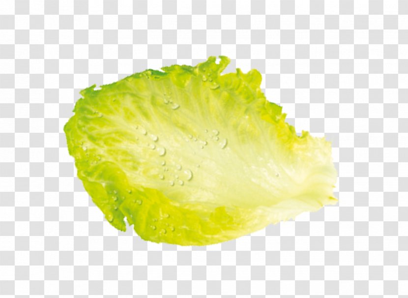 Leaf Vegetable Fruit - Laitue Transparent PNG