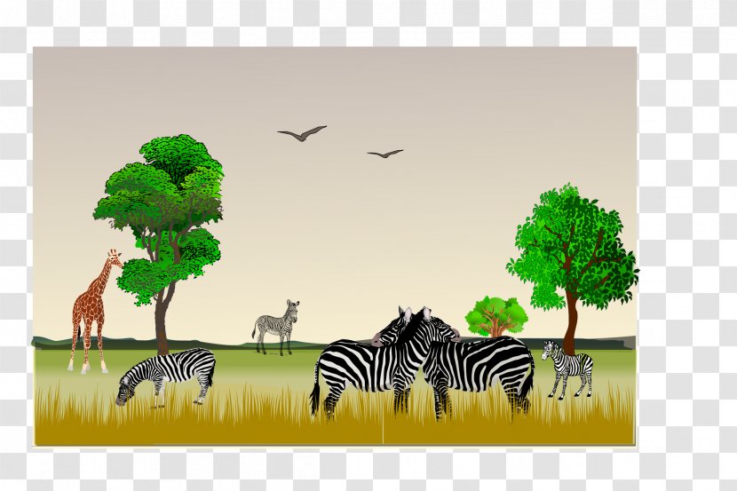 Game Reserve Northern Giraffe Clip Art - Africa Transparent PNG