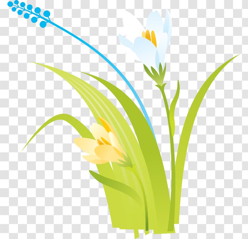 Petal Desktop Wallpaper - Cartoon - Flower Transparent PNG