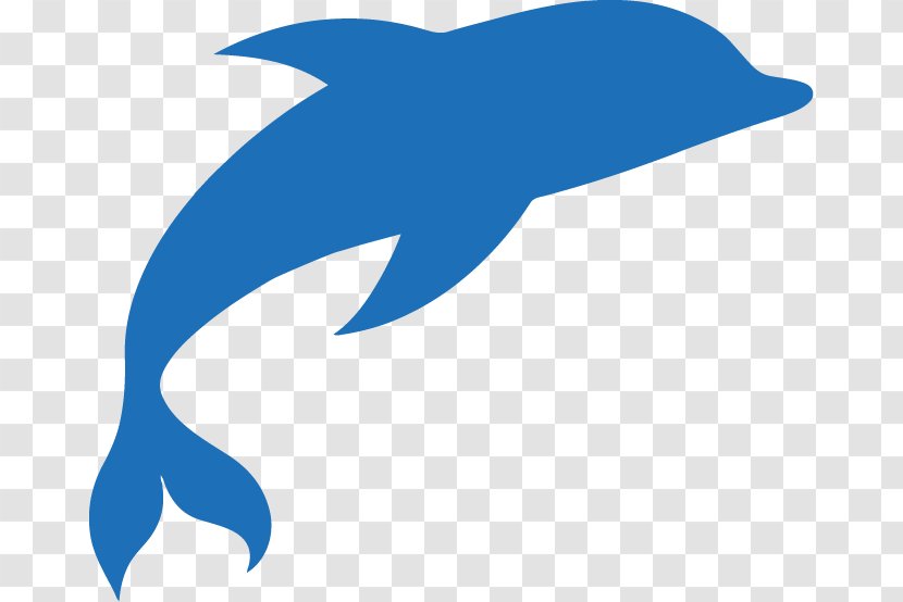 Common Bottlenose Dolphin Swimming Pool Tamarac Parkland - Fin - Blue Transparent PNG