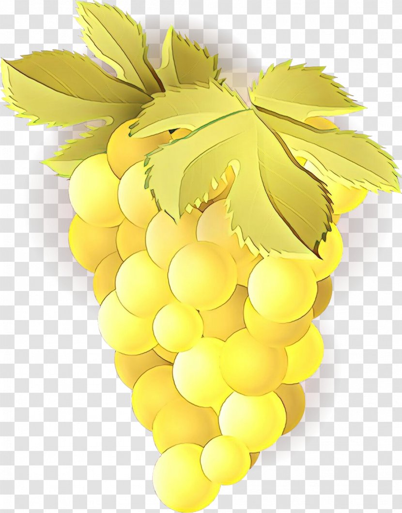 Grape Yellow Grapevine Family Fruit Seedless - Sultana Plant Transparent PNG