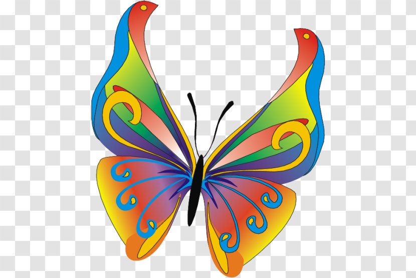 Papillon Dog Butterfly Clip Art - Insect - Pea Flower Transparent PNG