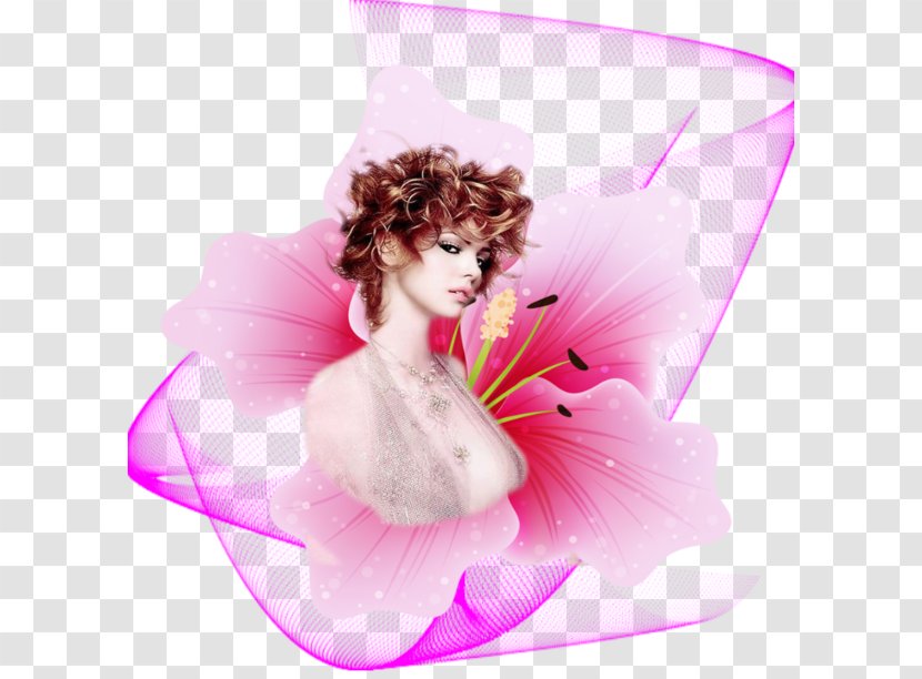 Fairy Pink M Wella Hair Color Transparent PNG