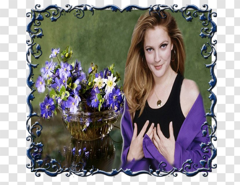 Floral Design Flowering Plant Picture Frames - Silhouette - Drew Barrymore Transparent PNG