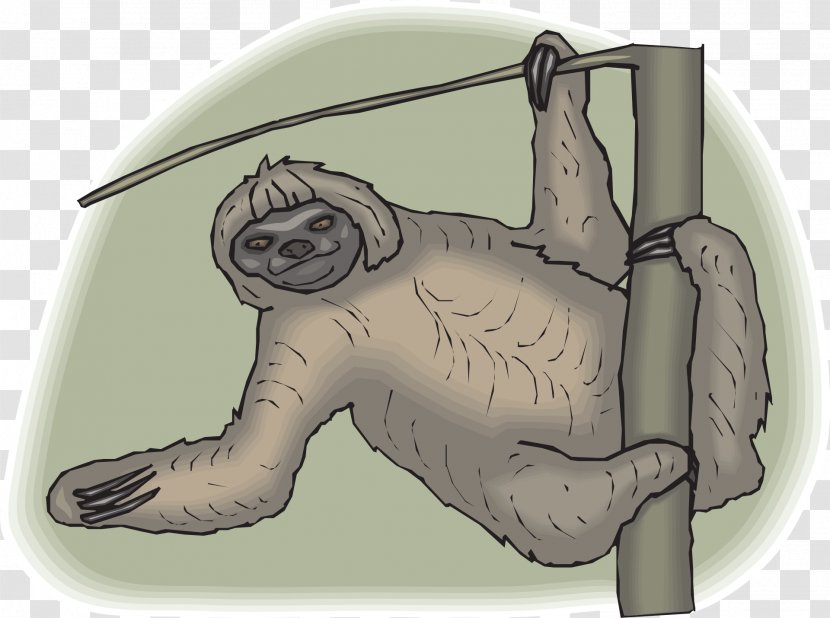 Brown-throated Sloth Clip Art - Flower Transparent PNG