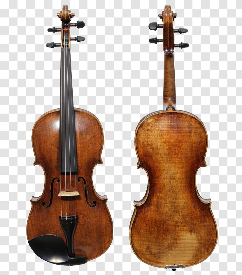 String Instruments Violin Musical Cello Viola - Antonio Stradivari Transparent PNG