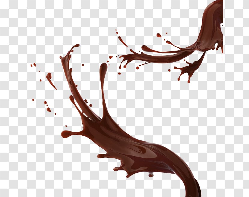 Chocolate Syrup - Branch - Sauce Transparent PNG