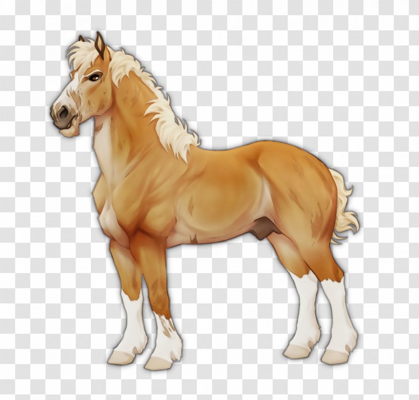 Mane Mustang Foal Stallion Mare - Animal Figure - Figurine Liver Transparent PNG