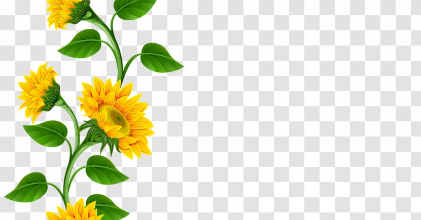 Common Sunflower Clip Art - Yellow - Sunflowers Clipart Transparent PNG