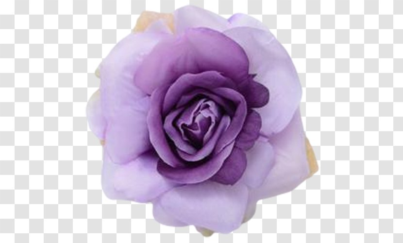 Lavender Eggplant Garden Roses Purple Centifolia - Rose Order - Flower Transparent PNG