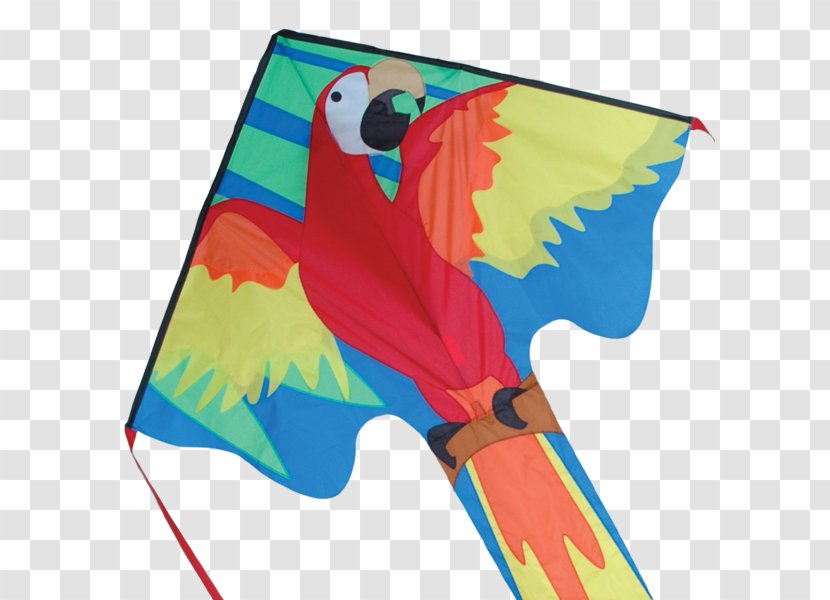 St. Augustine Kitesurfing Macaw Flight - Bird - Kite Transparent PNG