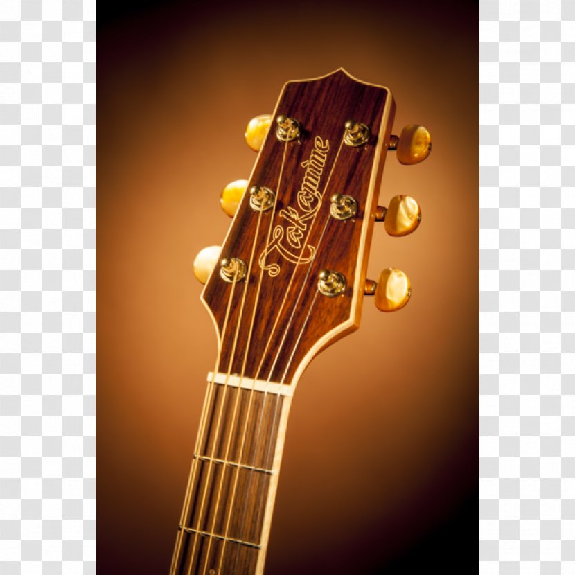 Bass Guitar Acoustic Acoustic-electric Takamine Guitars - Flower - Tuba Transparent PNG