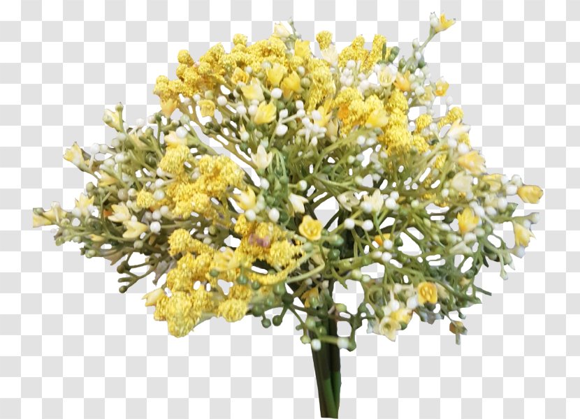 Cut Flowers Branch Twig Plant - Baby Breath Transparent PNG