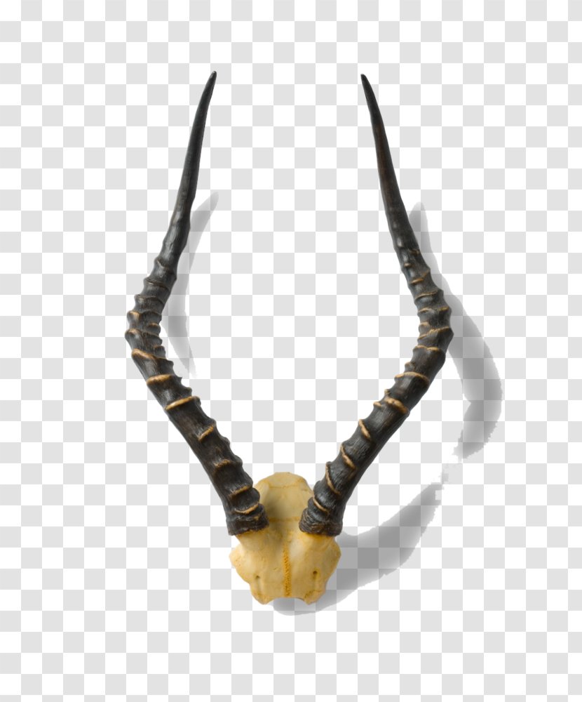 Horn Animal Product Antler Jaw - Sign Of The Horns Transparent PNG