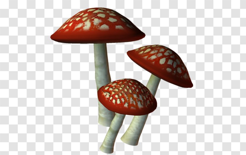 Mushroom - Fungus - Postscript Transparent PNG