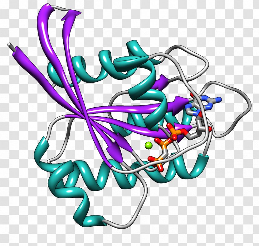 Ras Subfamily Small GTPase HRAS Protein Family - Purple - Hras Transparent PNG