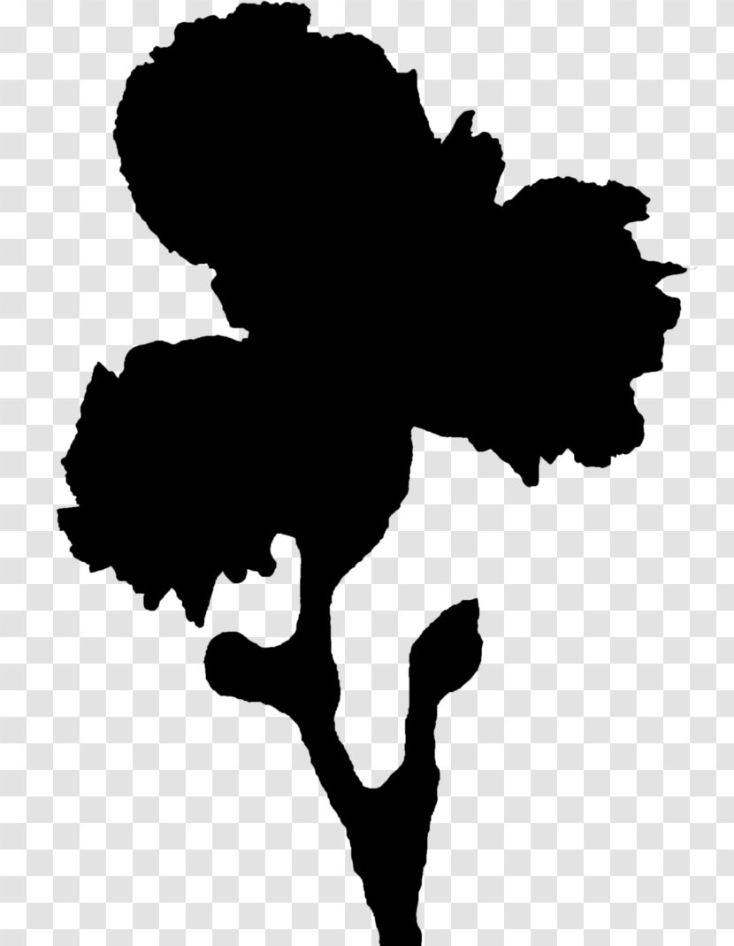 Tree Clip Art Silhouette Black M - Blackandwhite - Plant Transparent PNG