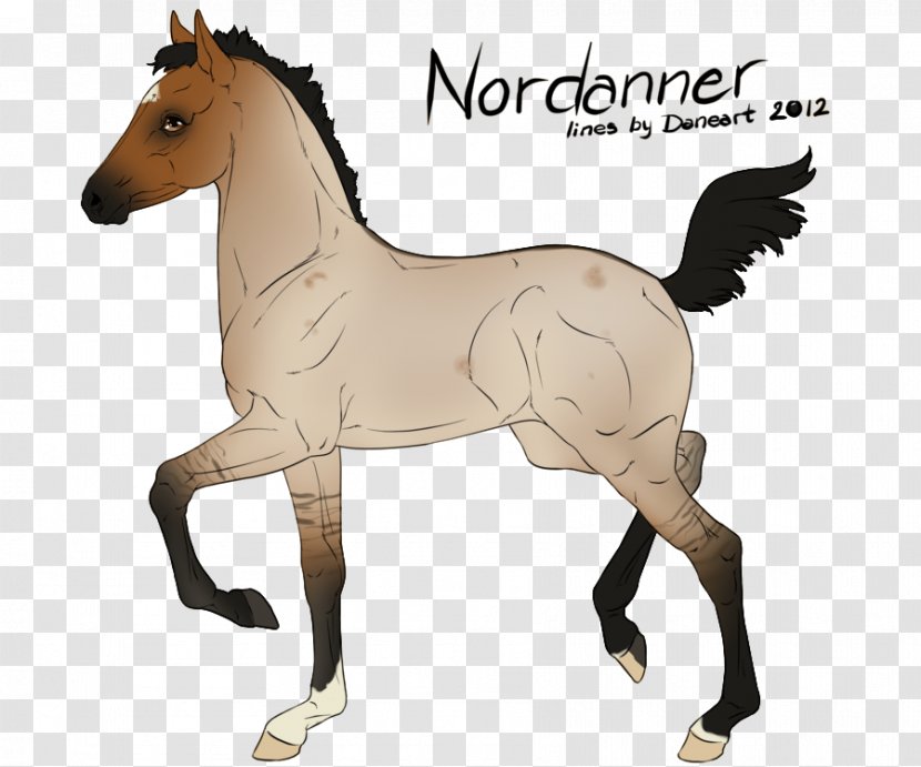 Mustang Foal Art Stallion Pony - Artist - Diamond Shine Transparent PNG