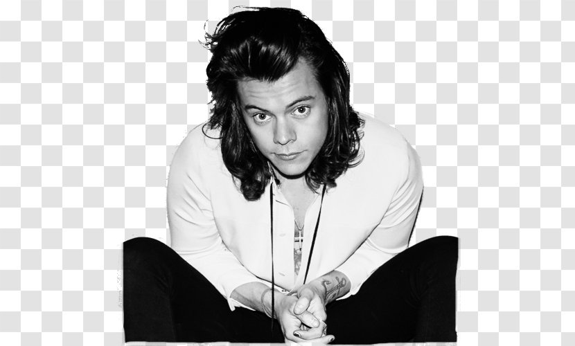 Harry Styles One Direction Made In The A.M. Four - Frame Transparent PNG